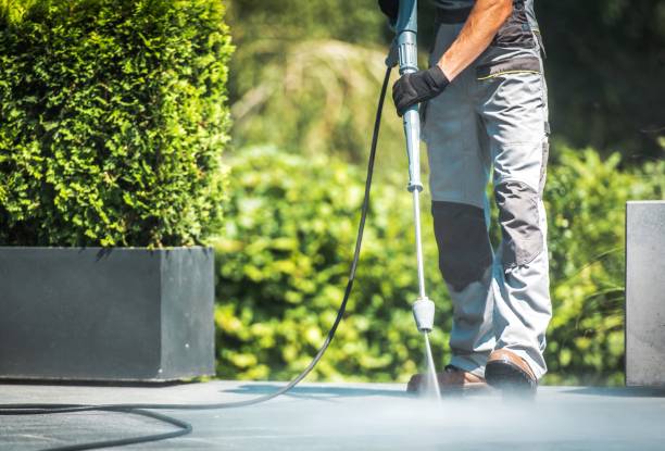 Best Sidewalk and Walkway Cleaning  in Oaklawn Sunview, KS